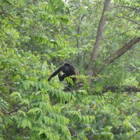 Panama Eco Resort Tierra Oscura 外观 照片