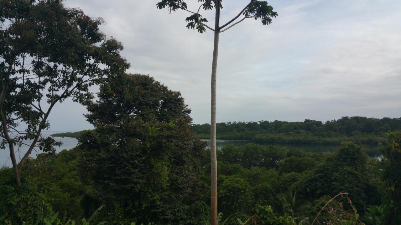 Panama Eco Resort Tierra Oscura 外观 照片