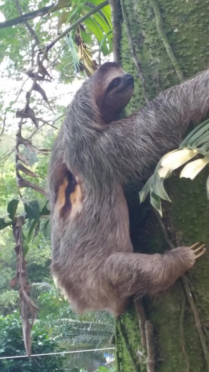 Panama Eco Resort Tierra Oscura 外观 照片
