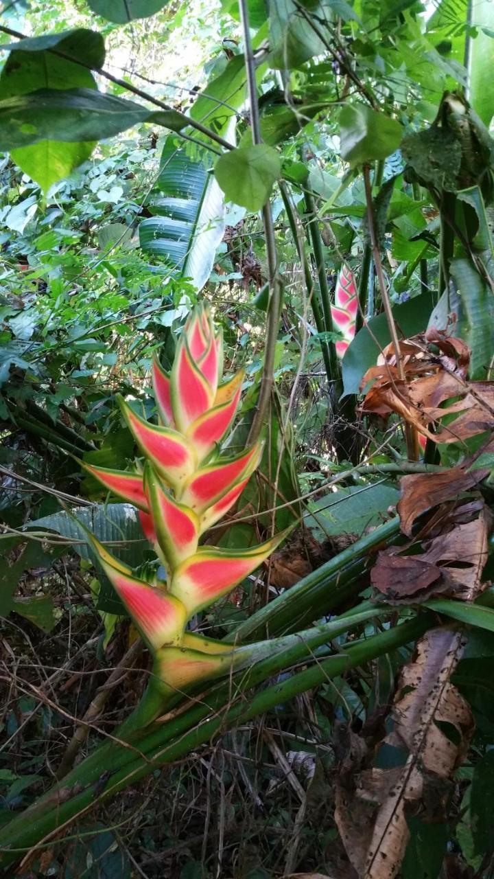 Panama Eco Resort Tierra Oscura 外观 照片