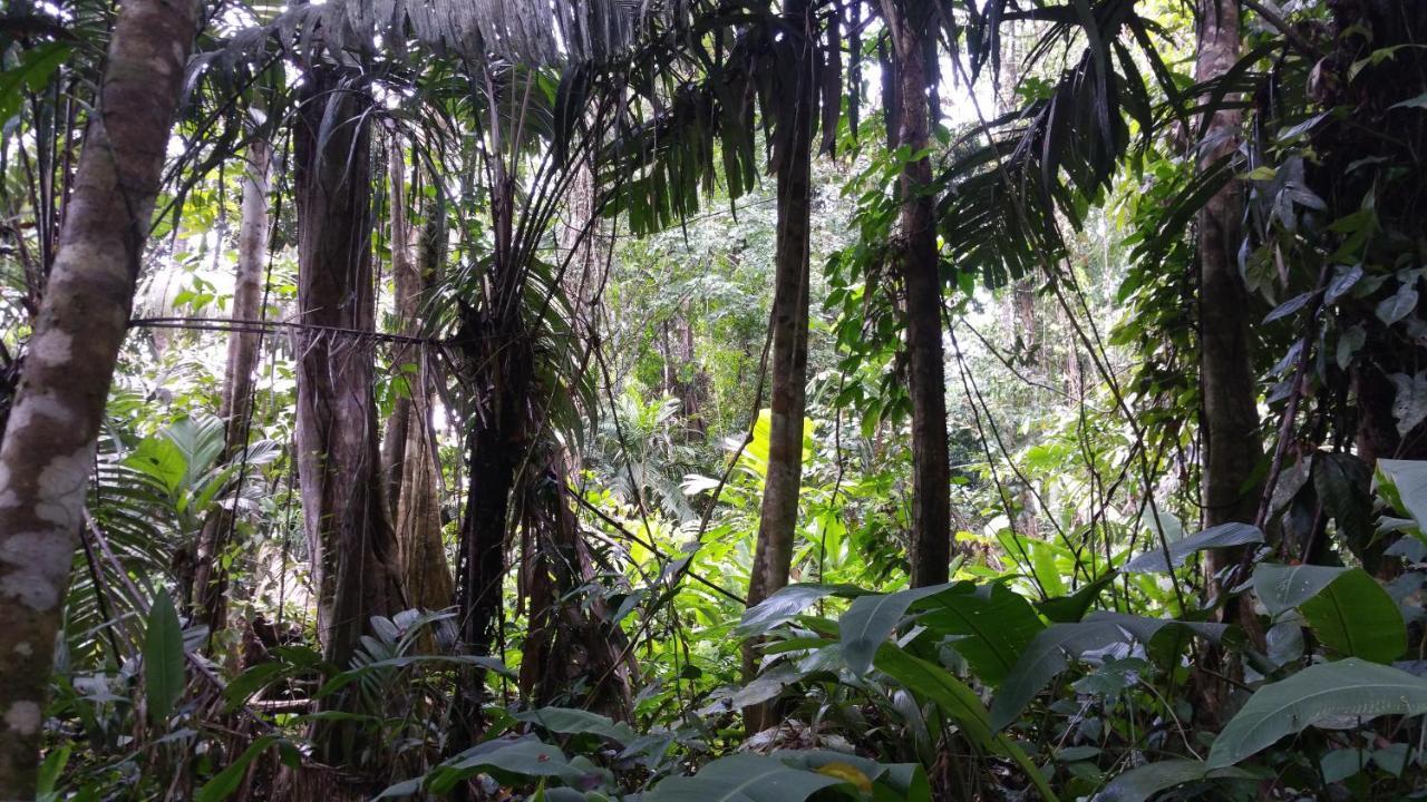 Panama Eco Resort Tierra Oscura 外观 照片