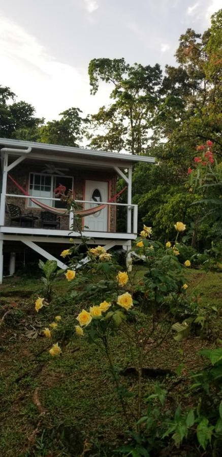 Panama Eco Resort Tierra Oscura 外观 照片