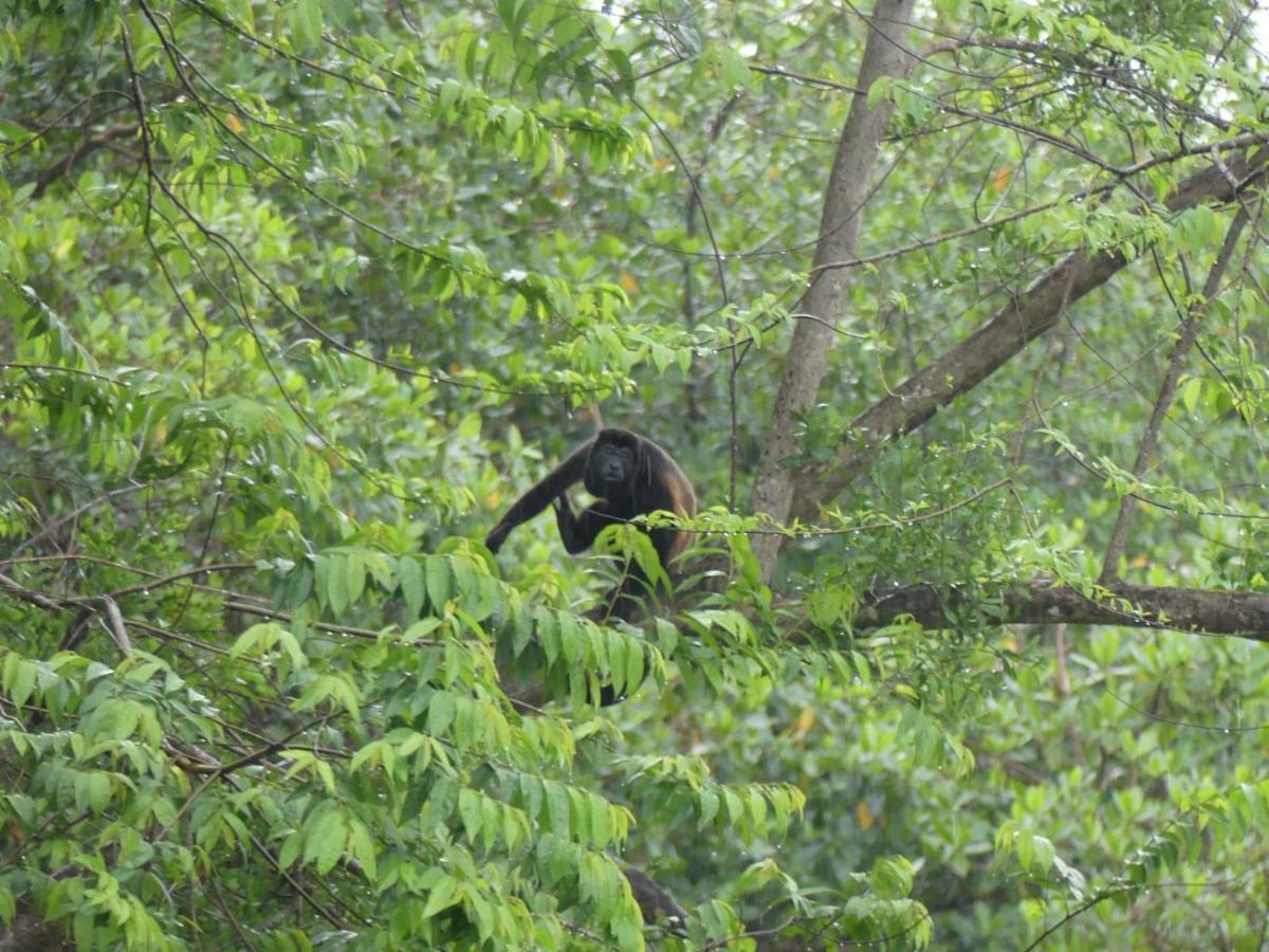 Panama Eco Resort Tierra Oscura 外观 照片